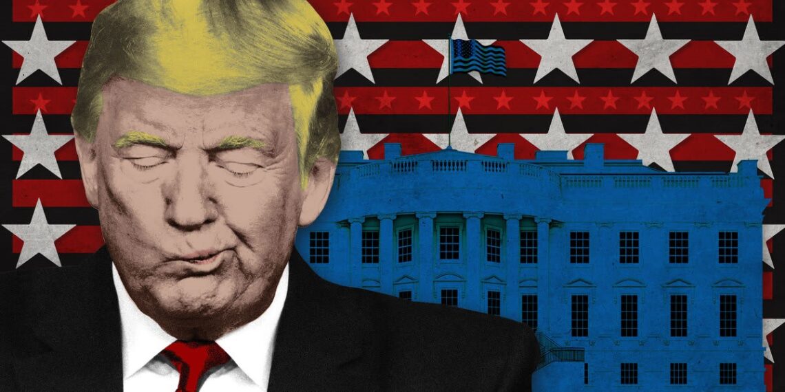 Дональд Трамп. Иллюстрация: Kelly Caminero/The Daily Beast/Getty