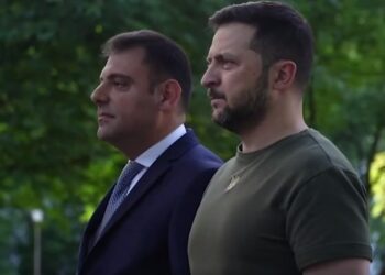 Сеймур Мардалиев и Владимир Зеленский