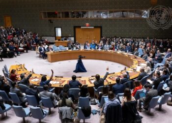 Заседание СБ ООН по Палестине. Фото: пресс-служба ООН