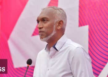 Мохамед Муиззу. Фото: PPM