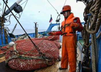 Фото: undercurrentnews.com