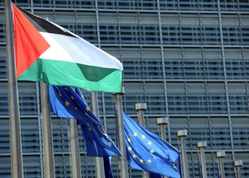 Флаги Палестины и ЕС. Фото: Dursun Aydemir / Anadolu