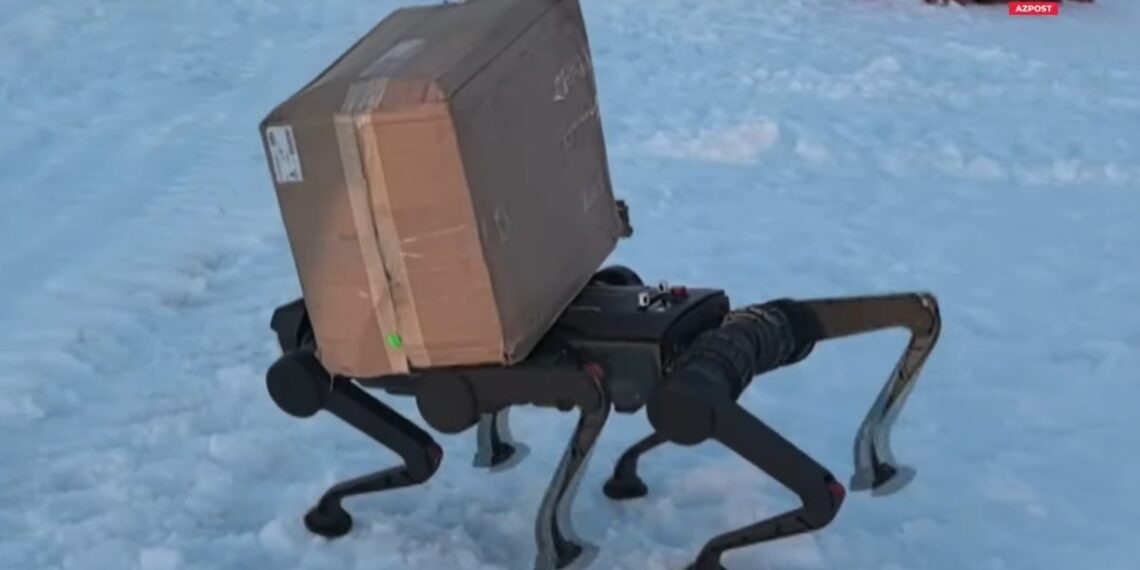 робот-хаски