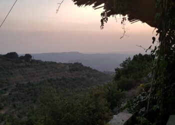 Горная Латакия. Фото: Татьяна Полоскова / ИА «Реалист»