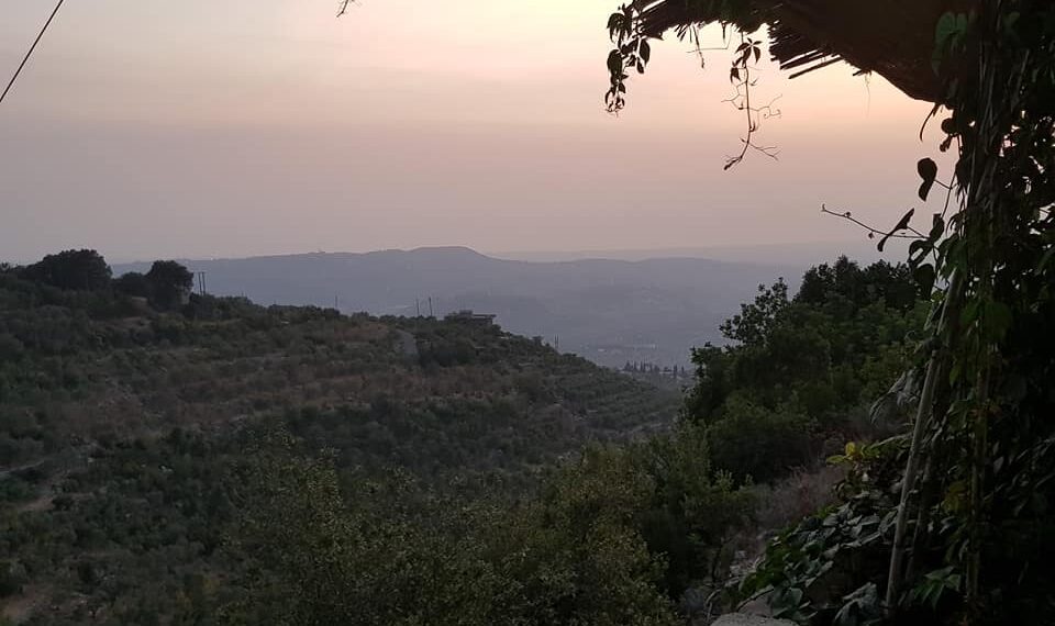 Горная Латакия. Фото: Татьяна Полоскова / ИА «Реалист»