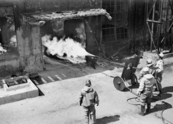 Японские военные используют бакоружие. Фото: abc.net.au