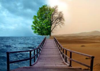 Фото: psychologies.today