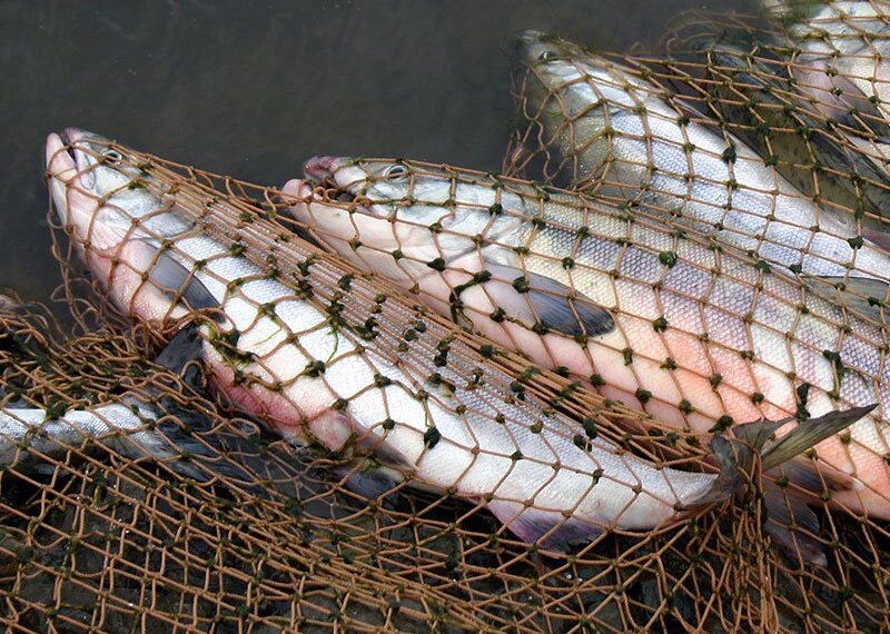 Фото: teleport2001.ru