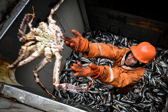 Фото: Юрий Смитюк / ТАСС