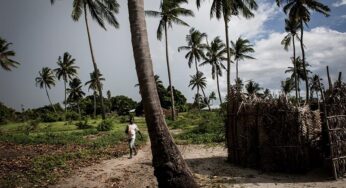 Газовое проклятье Мозамбика: природные богатства обернулись для граждан нищетой