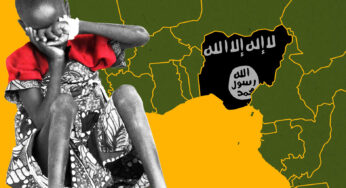ИГИЛ* в Сирии не разгромлена, террористы перебрались в Африку – мнение