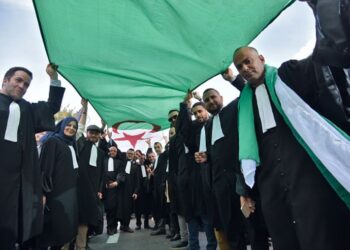 Алжирские юристы на митинге. Фото: Getty Images