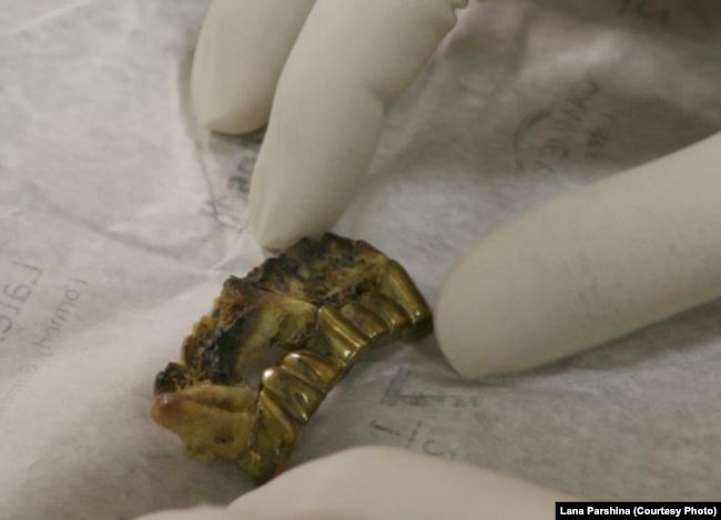 Зубы Гитлера