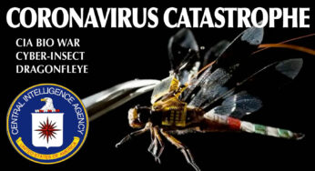 Коронавирус и теория заговора: конспирология угрожает обществу не меньше, чем эпидемия