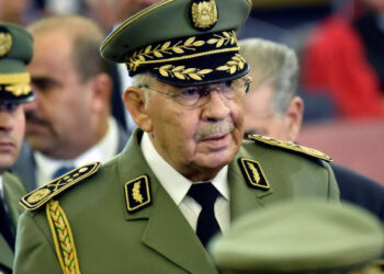 Ахмед Гайд Салах. Фото: FT