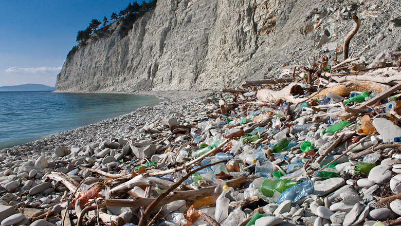 Черноморскому региону нужна единая система мониторинга экологии – Серебрянская