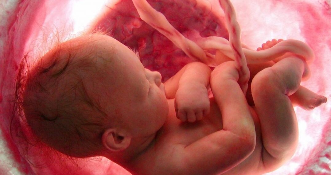 Фото: Ида Тен