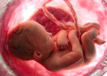 Фото: Ида Тен