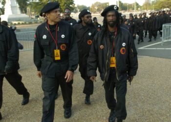 Члены новой партии "Черные пантеры". Фото: Red Ice