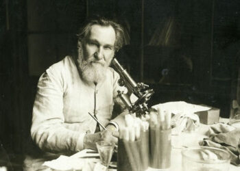 Илья Мечников