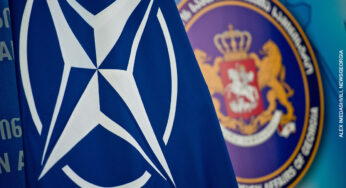 Украина и Грузия никогда не войдут в НАТО: эксперты из США