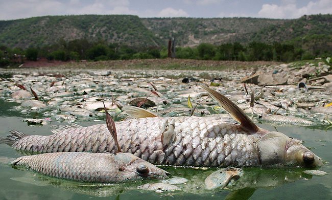 Фото: allwomens.ru