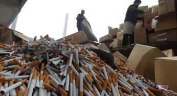 Украина лидирует по нелегальным поставкам сигарет в Европейский союз