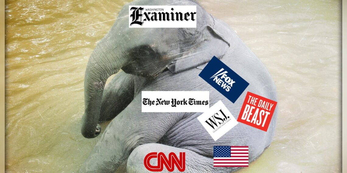 Иллюстрация: adjuma.ru