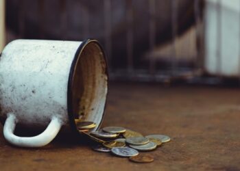 Фото: Ruslan Sitarchuk / Shutterstock.com