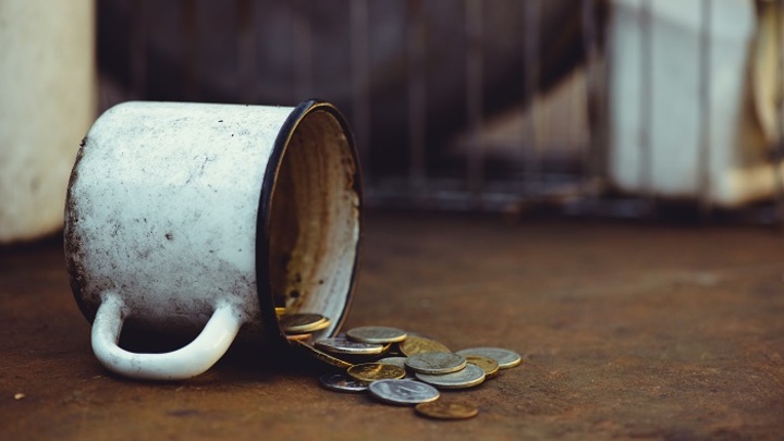 Фото: Ruslan Sitarchuk / Shutterstock.com