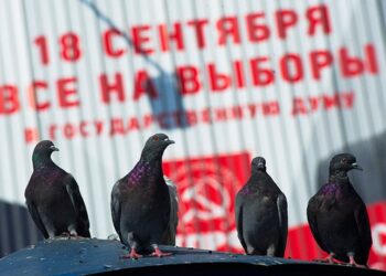 Фото: ТАСС