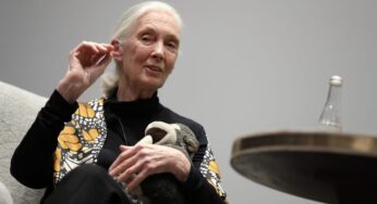 Антрополог — молодежи: быть новым Гейтсом и Безосом — не успех, им не нужны такие деньги