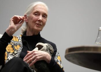 Джейн Гудолл. Фото: Getty