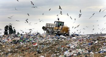 ФАС может провести проверку обоснованности повышения платы за вывоз ТКО на Среднем Урале