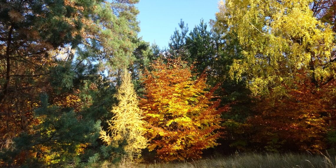 Бад Фрайенвальде. Фото: Алексей Ананченко / ИА Реалист