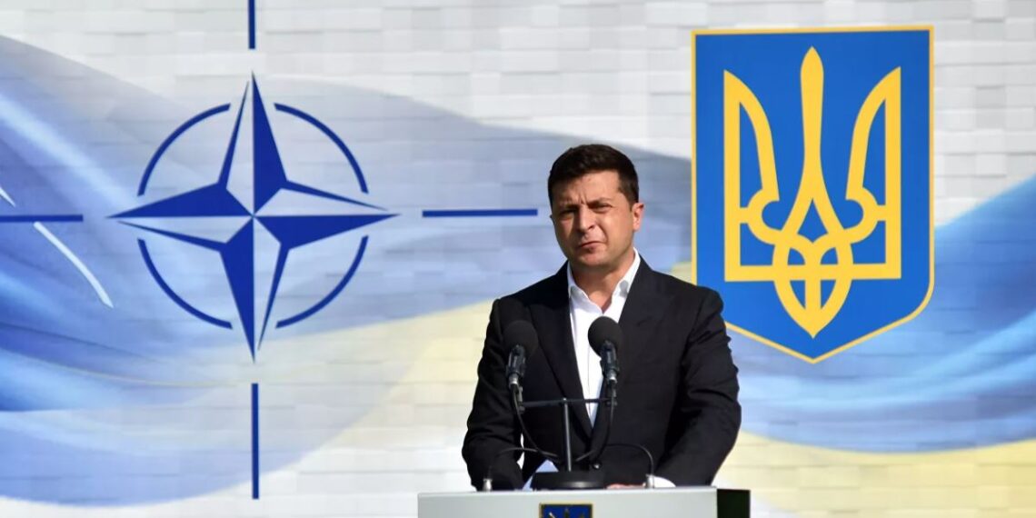 Владимир Зеленский. Фото: РИА Новости