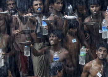 В поисках воды. Фото: tumblr.com