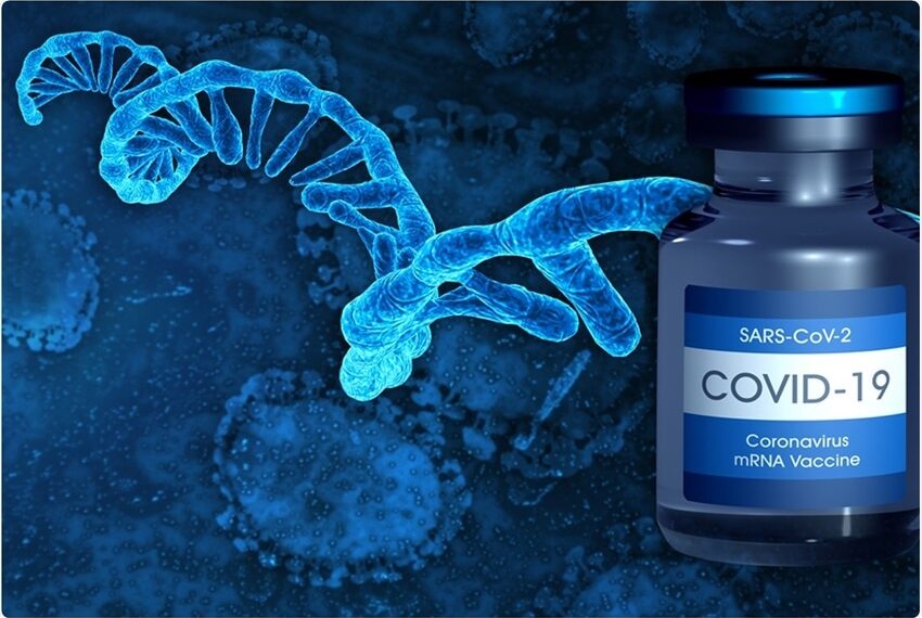 Иллюстрация: Shutterstock