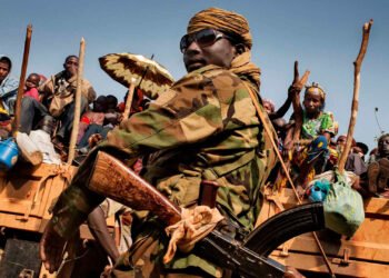 Фото: открытые источники