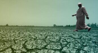 Амр Элдииб: Россия разочаровала народ Египта