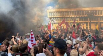 Полицейские разрешили кидать камни в мирных граждан: депутат Сейма Литвы