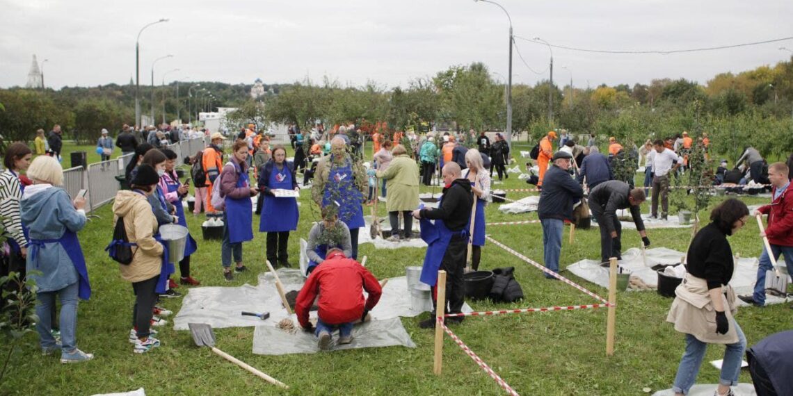 Субботник в Коломенском парке