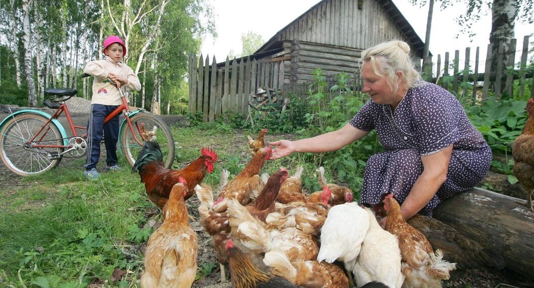 Подсобное хозяйство