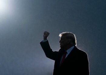 Дональд Трамп. Фото: Alex Brandon / AP
