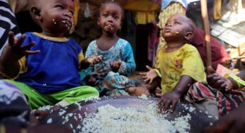 Пять самых голодающих стран в мире