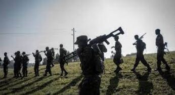 Эфиопия скатывается к гражданской войне
