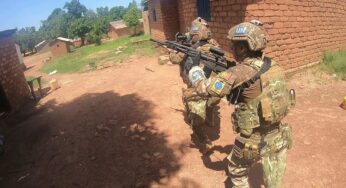 Эксперт прокомментировал преступления португальских миротворцев в ЦАР