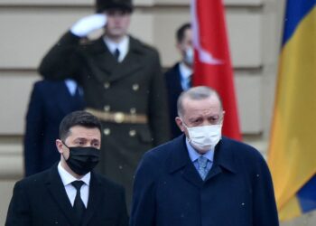 Владимир Зеленский и Реджеп Тайип Эрдоган. Фото: AFP