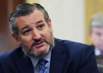 Тед Круз. Фото: CNN