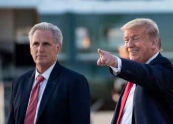 Кевин Маккарти и Дональд Трамп. Фото: Alex Brandon / AP